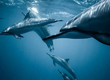 开云体育首页-【夜读】穆里尼奥：不能靠积分榜评价教练！